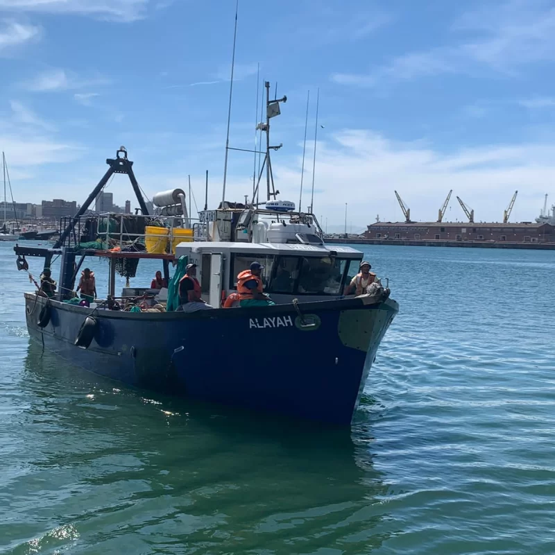 MV Alayah Letap Fishing Hake Trawler