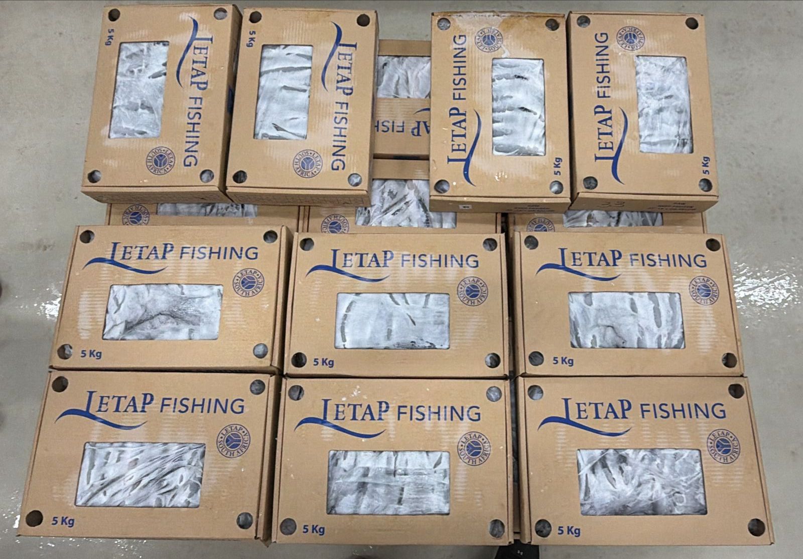 Sardine boxes Letap Fishing