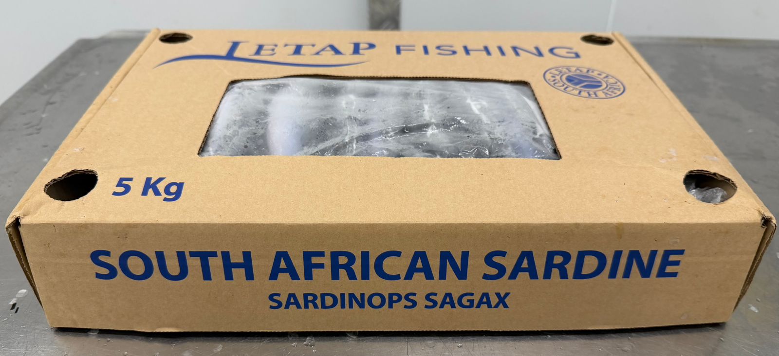South African Sardine Sardinops sagax